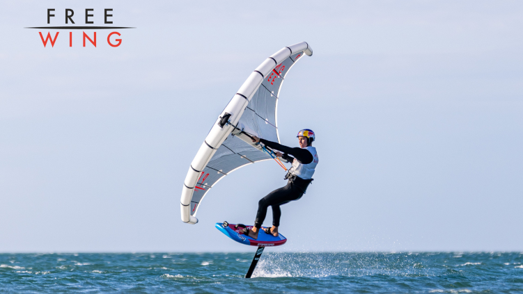 Новый Винг Freewing Pro