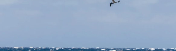 Первые в истории соревнования GWA Big Air